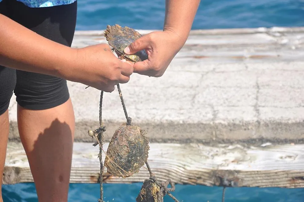 Hotel La Perle Tahaa Tapu' amu Francouzská Polynésie