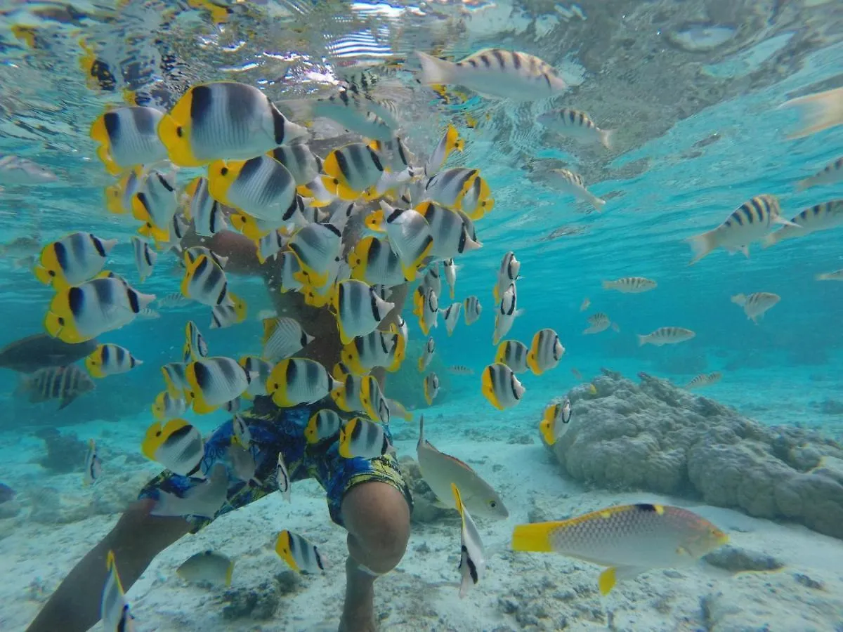 ***  Hotel La Perle Tahaa Tapu' amu Polinezja Francuska