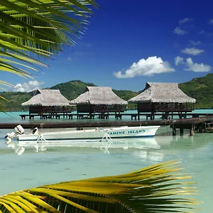 4* Hotel Vahine Island And